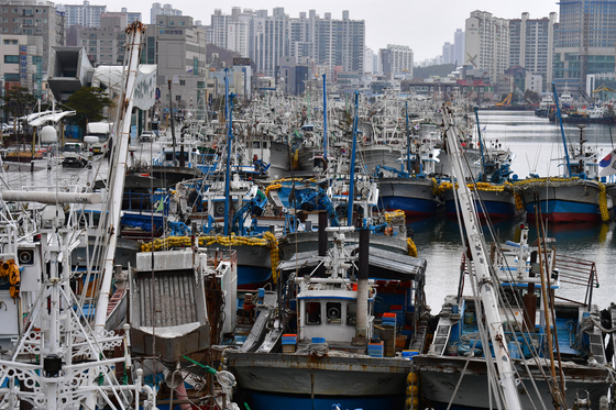 유가 상승에 포항~울릉 정기여객선 "손해 감수하고 운항"