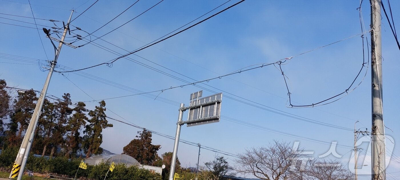 본문 이미지 - 16일 오후 서귀포시 강정동에서 통신선이 강한 바람에 늘어져있다.(제주소방안전본부 제공. 재판매 및 DB 금지)