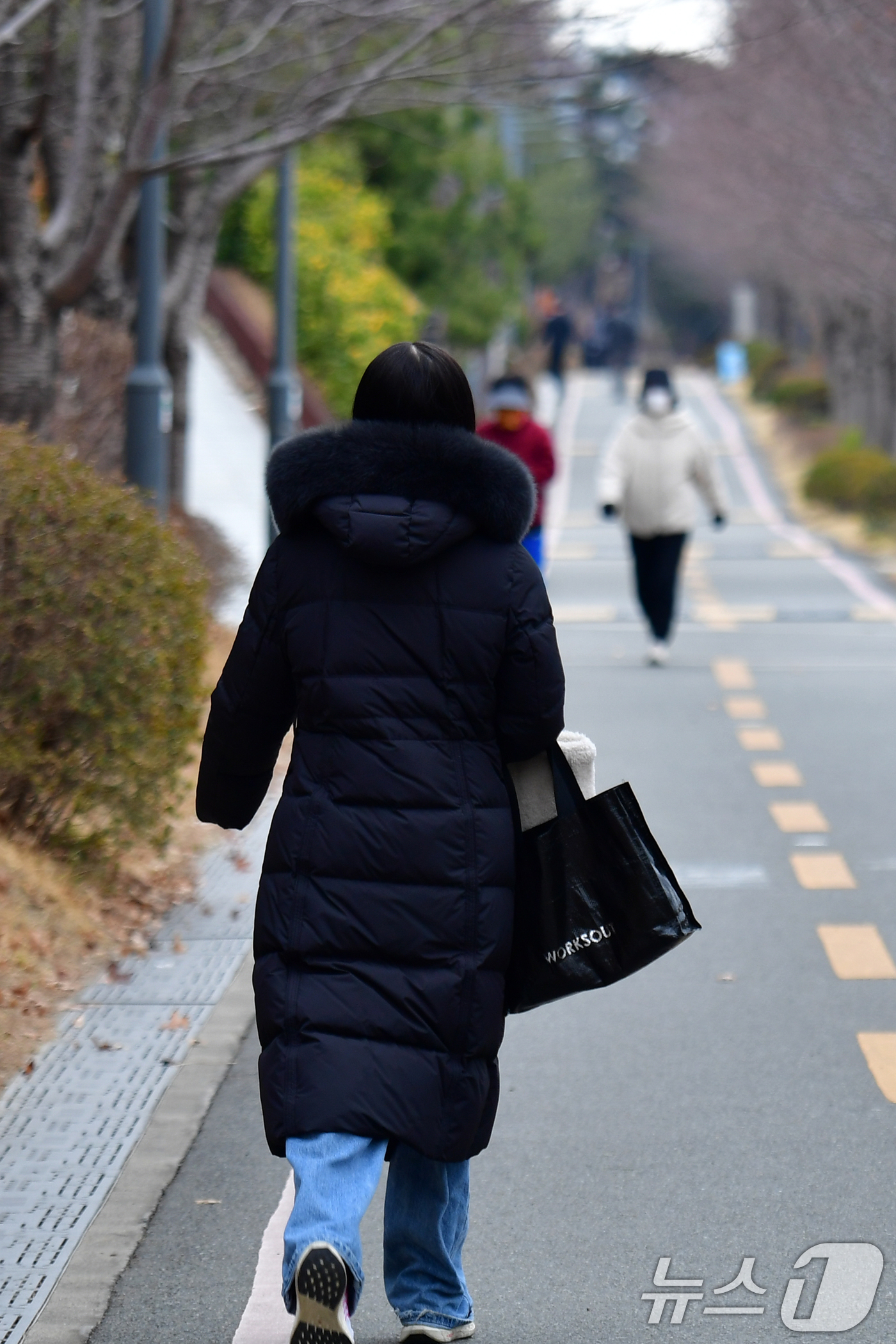 (포항=뉴스1) 최창호 기자 = 17일 경북 포항시 남구 대잠동 철길숲에서 두터운 옷 차림을 한 시민들이 걸어가고 있다.이날 포항 아침 최저기온은 3.1도(체감 기온 1도)까지 떨 …