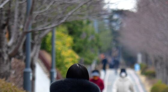 겨울이 다시 왔나