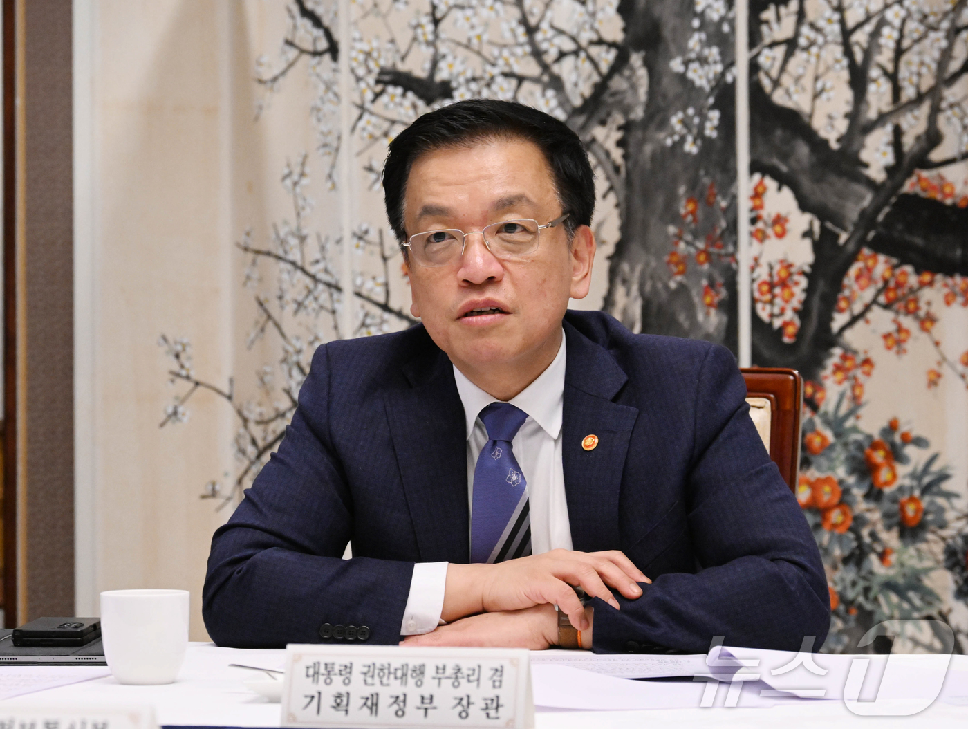 (서울=뉴스1) 허경 기자 = 최상목 대통령 권한대행 부총리 겸 기획재정부 장관이 17일 서울 종로구 정부서울청사에서 열린 대외경제현안간담회를 주재하고 있다. (기획재정부 제공. …