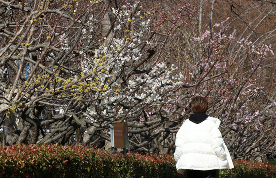 토요일 아침 최저 -7도 '꽃샘추위'…강풍에 체감온도 더 낮아[오늘날씨]