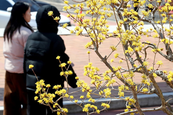 [오늘의 날씨] 세종·충북(8일, 일)…오후 구름, 최저기온 -7