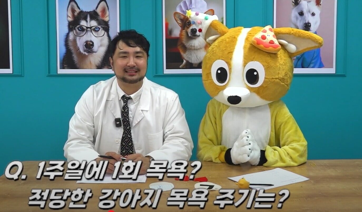 본문 이미지 - 개만족 유튜브 채널에 출연한 심용희 수의사가 반려견의 피부 관리 방법에 대해 설명하고 있다. (개만족 유튜브 채널 갈무리) ⓒ 뉴스1