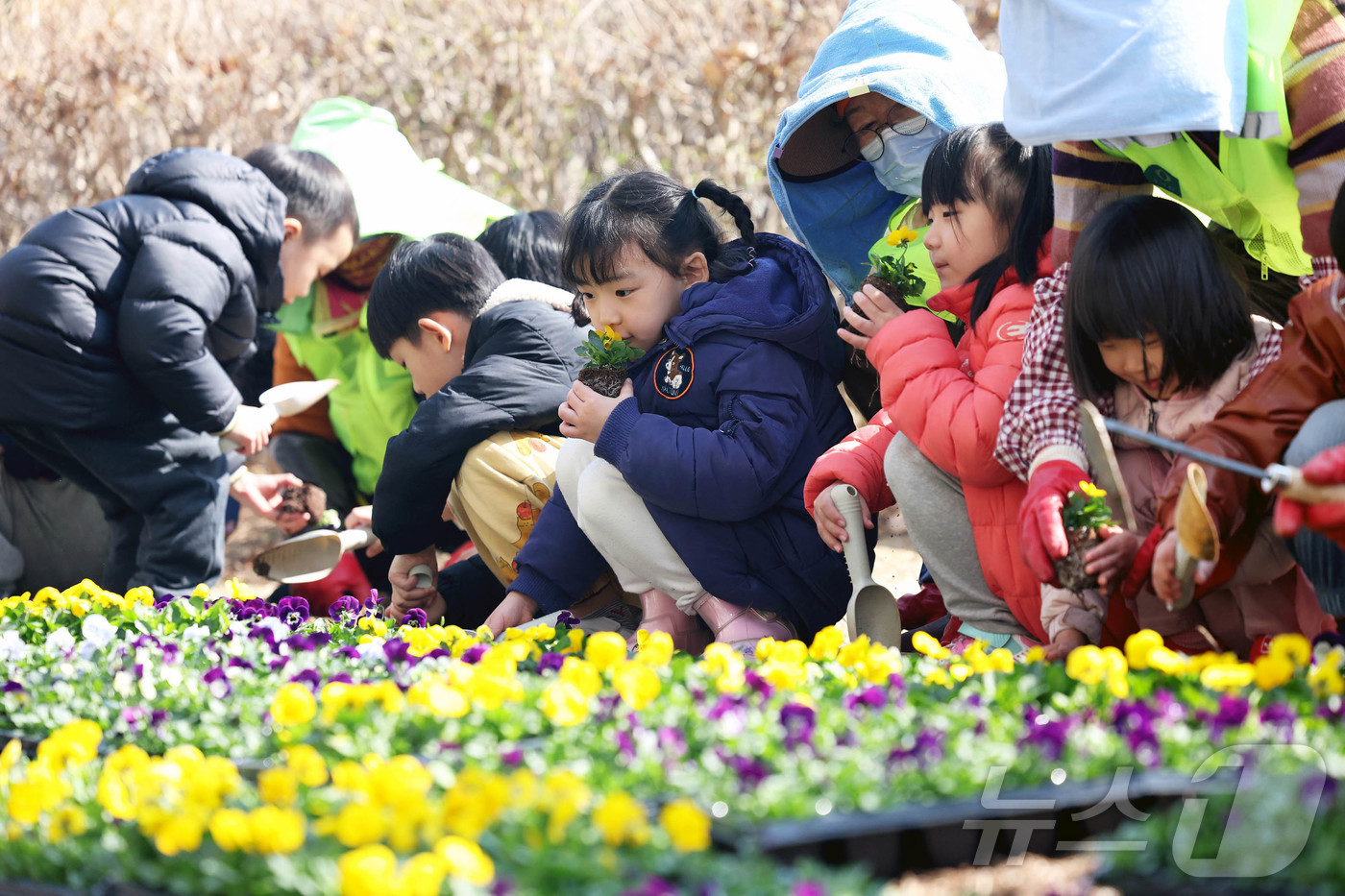 (광주=뉴스1) 박지현 기자 = 17일 광주 북구청 광장에서 공원녹지과 도시녹화팀 직원들과 북구청직장어린이집 아이들이 따뜻한 봄 햇살아래 팬지, 비올라 등의 봄꽃을 심고 있다. ( …
