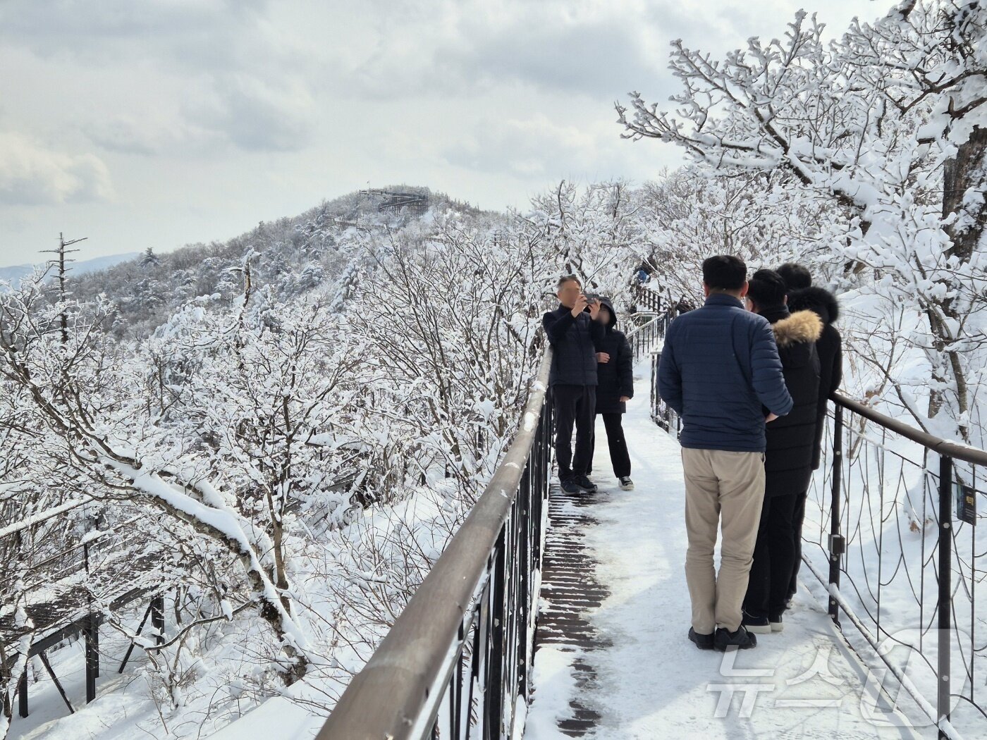 본문 이미지 - 강원 산지와 동해안에 많은 눈이 내린 17일 오후 평창군 발왕산 모나 용평 리조트에서 발왕산 케이블카 정상부에서 나들이객들이 설경을 즐기고 있다. 2025.3.17/뉴스1 ⓒ News1 윤왕근 기자