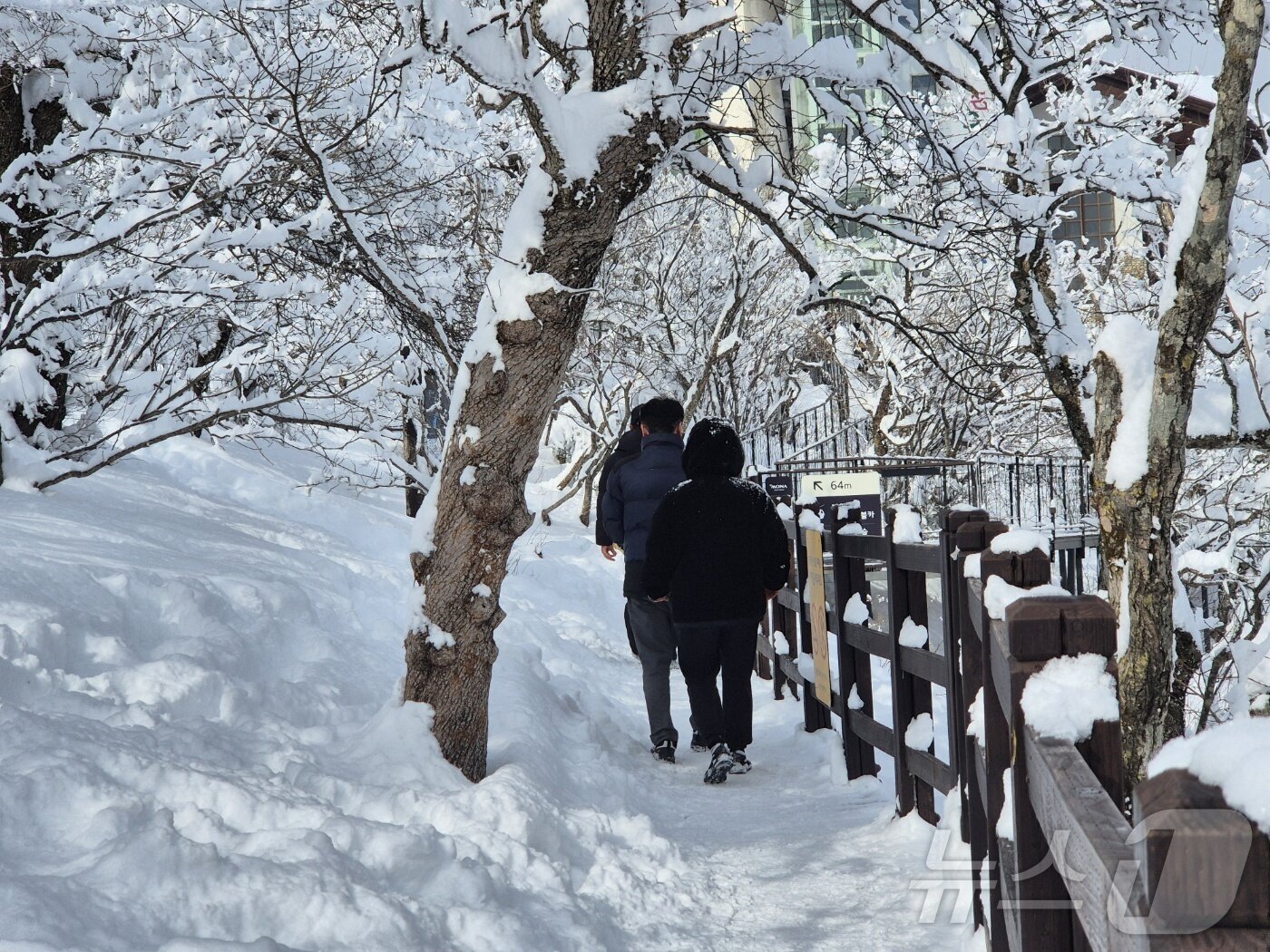 본문 이미지 - 강원 산지와 동해안에 많은 눈이 내린 17일 오후 평창군 발왕산 모나 용평 리조트에서 발왕산 케이블카 정상부에서 나들이객들이 설경을 즐기고 있다. 2025.3.17/뉴스1 ⓒ News1 윤왕근 기자
