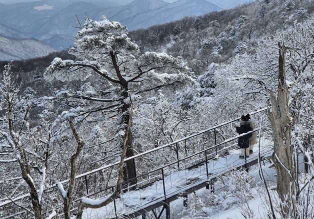 평창 발왕산 케이블카 1시간 멈춰…탑승 관광객 100명 한때 고립