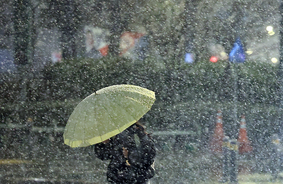 이번 주말 '대설' 가능성…농식품부, 비상대응 체계 운영