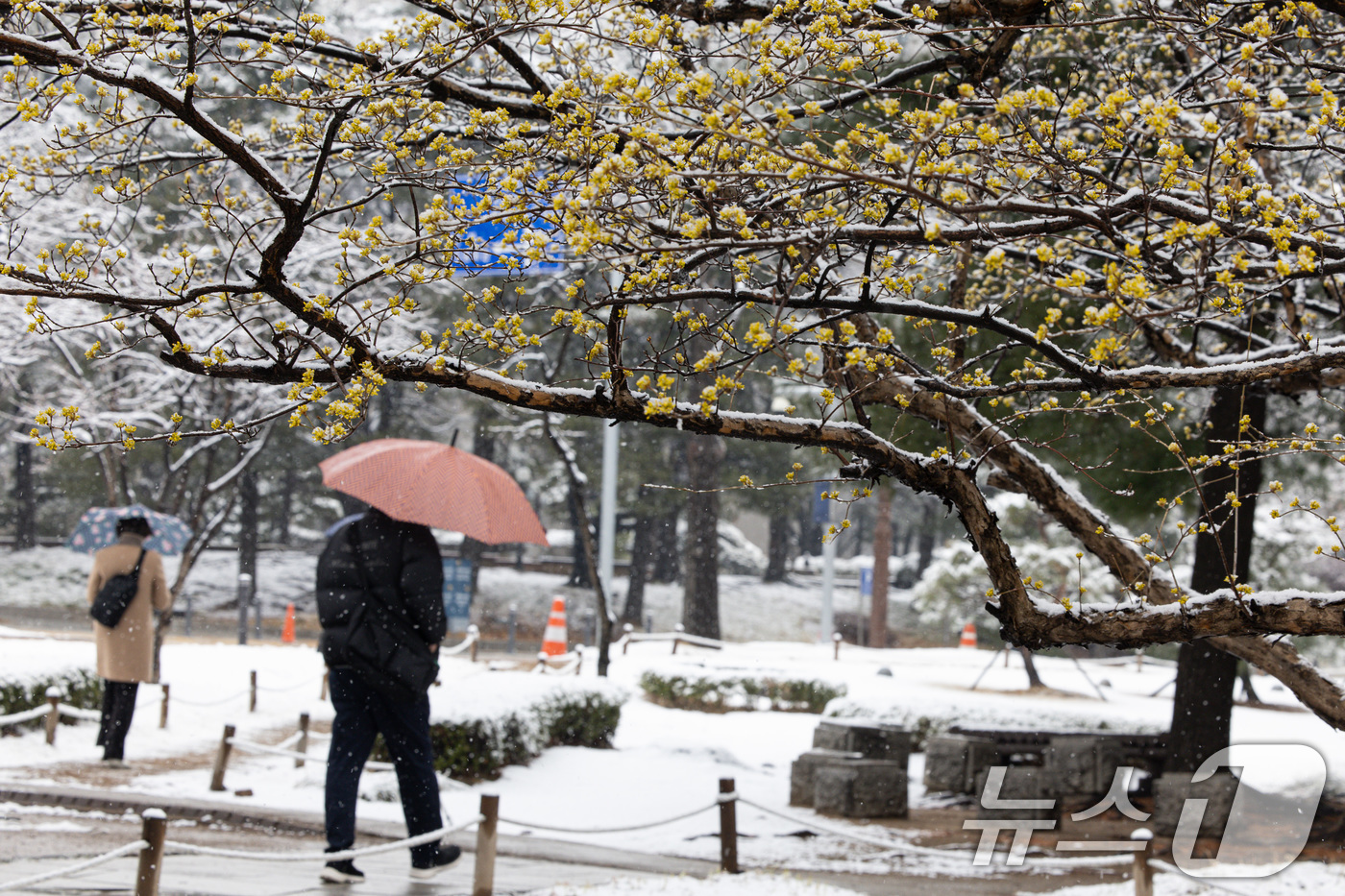 (서울=뉴스1) 이재명 기자 = 중부지방에 대설특보가 내려진 18일 오전 서울 여의도 국회에서 출근길 시민들이 발걸음을 옮기고 있다. 2025.3.18/뉴스1