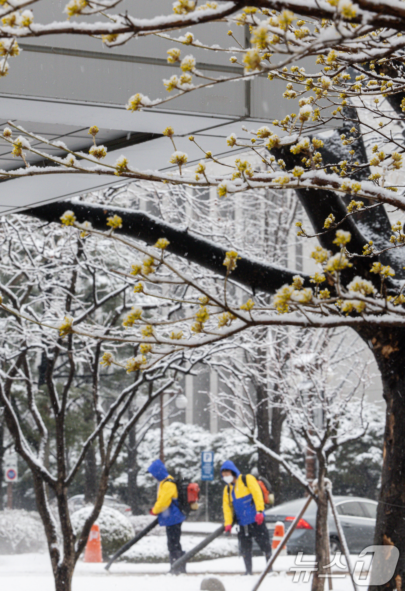(서울=뉴스1) 이재명 기자 = 중부지방에 대설특보가 내려진 18일 오전 서울 여의도 국회에서 관계자들이 제설작업을 하고 있다. 2025.3.18/뉴스1
