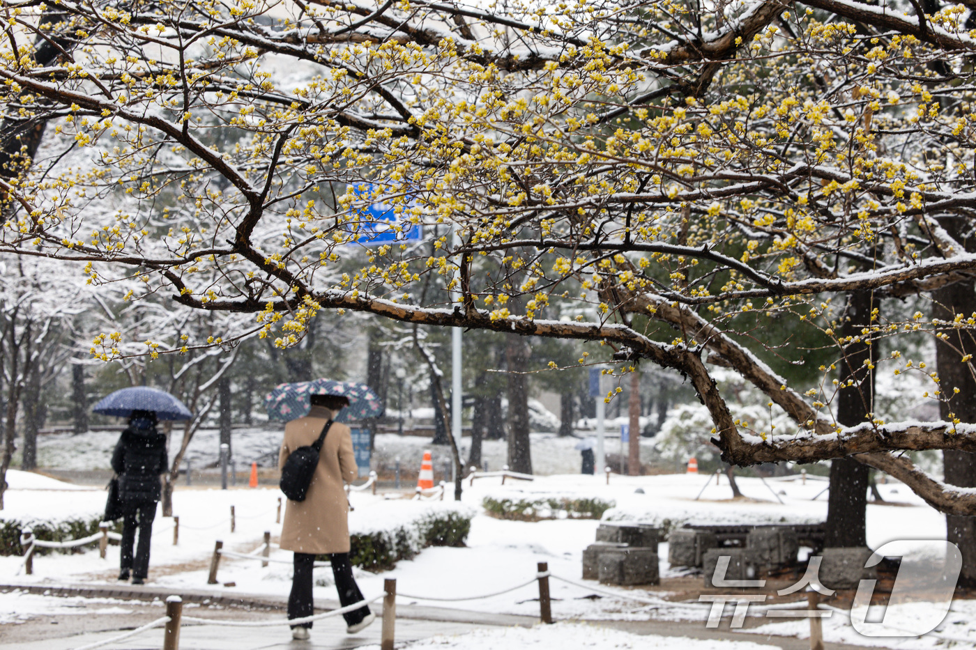 (서울=뉴스1) 이재명 기자 = 중부지방에 대설특보가 내려진 18일 오전 서울 여의도 국회에서 출근길 시민들이 발걸음을 옮기고 있다. 2025.3.18/뉴스1