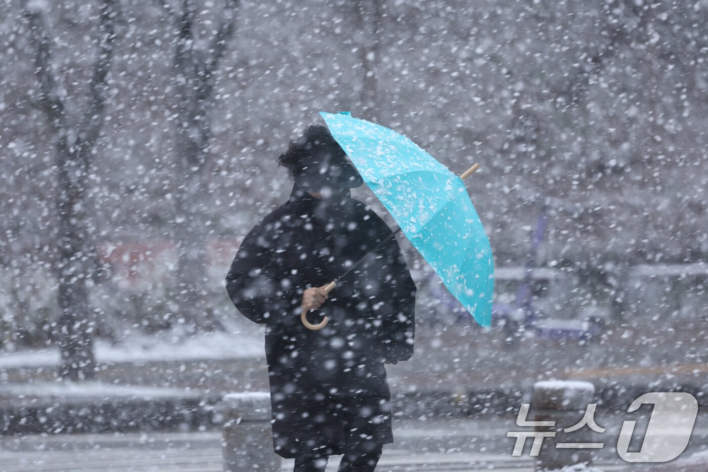 본문 이미지 - 18일 오전 광주시 광산구 수완지구 한 거리에서 눈을 피하며 한 시민이 걷고 있다. 2025.3.18/뉴스1 ⓒ News1 김태성 기자