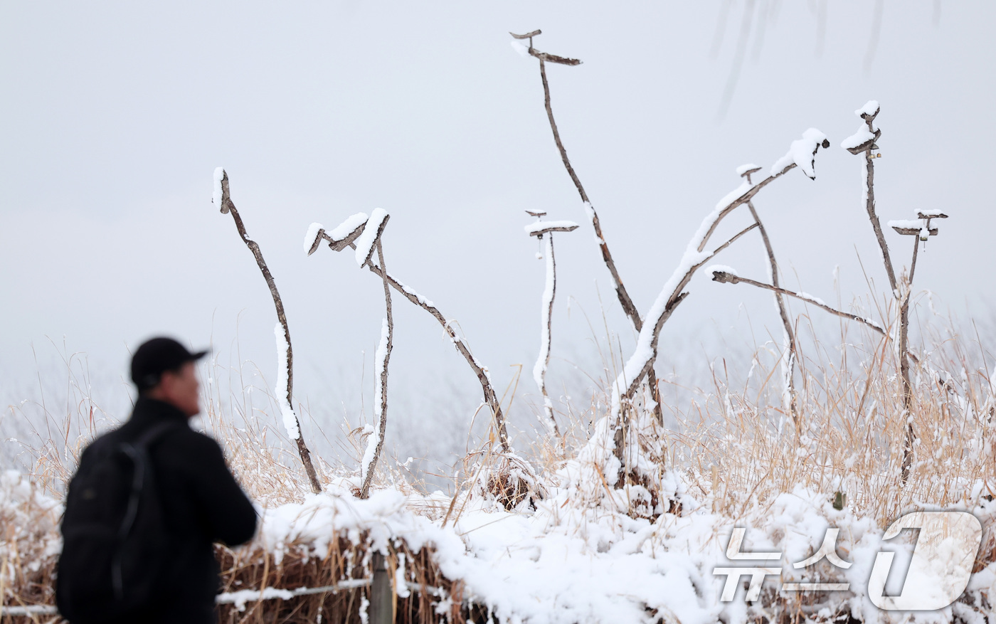 (서울=뉴스1) 김성진 기자 = 서울과 수도권 지역에 대설주의보가 발효된 18일 오전 서울 마포구 하늘공원에서 한 시민이 설경을 담고 있다. 2025.3.18/뉴스1