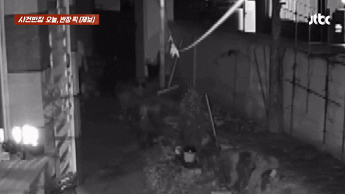 본문 이미지 - (JTBC '사건반장' 갈무리)