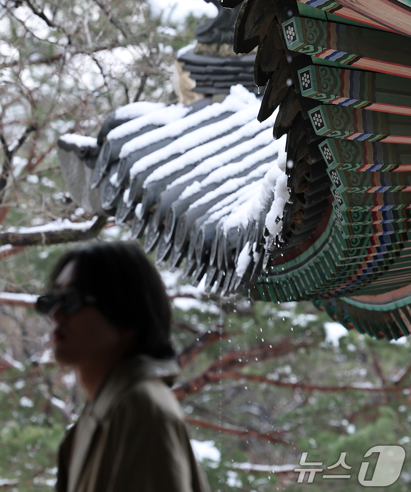 (서울=뉴스1) 오대일 기자 = 봄을 시샘하는 폭설이 내린 18일 서울 종로구 창덕궁 성정각 처마에서 눈이 녹아내리고 있다.  2025.3.18/뉴스1