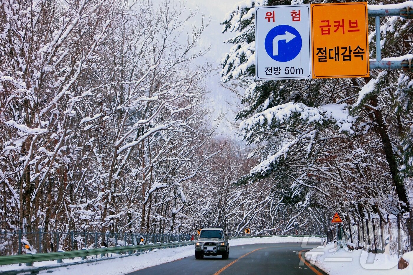 본문 이미지 - 18일 강원 인제군 북면 한계령에 이틀 연속 내린 눈이 설경을 이루고 있다.(인제군 제공. 재판매 및 DB금지) 2025.3.18/뉴스1 ⓒ News1 이종재 기자