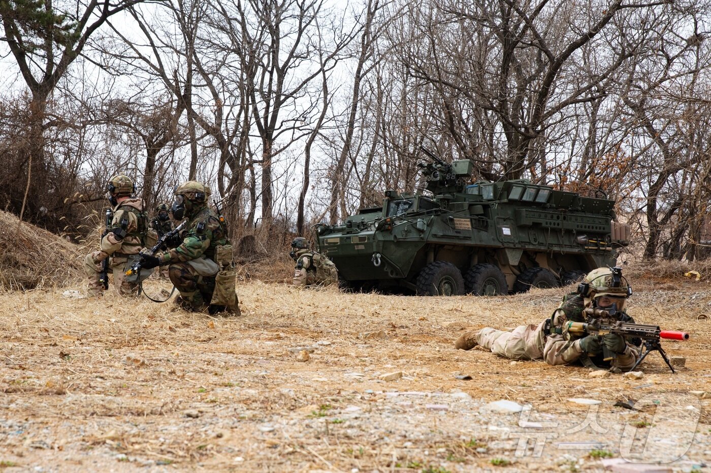 본문 이미지 - 육군 제17보병사단은 2025년 FS/TIGER와 연계하여 지난 16일부터 인천시 일대 및 경기도 파주 무건리훈련장에서 '한미연합전투지휘훈련'을 실시하고 있다고 19일 밝혔다. CWMD-TF 장병들이 의심시설 주변을 정찰하고 잔적들을 소탕하고 있다. (육군 제공. 재판매 및 DB 금지) 2025.3.19/뉴스1