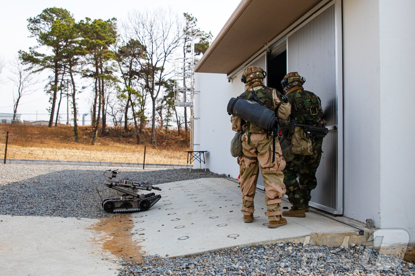본문 이미지 - 육군 제17보병사단은 2025년 FS/TIGER와 연계하여 지난 16일부터 인천시 일대 및 경기도 파주 무건리훈련장에서 '한미연합전투지휘훈련'을 실시하고 있다고 19일 밝혔다. CWMD-TF 장병들이 의심시설 내부로 진입하기에 앞서 화생방정찰로봇을 투입하고 있다. (육군 제공. 재판매 및 DB 금지) 2025.3.19/뉴스1