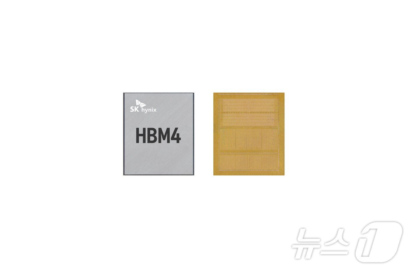 본문 이미지 - SK하이닉스 HBM4 12단 샘플(SK하이닉스 제공). ⓒ News1 박주평 기자