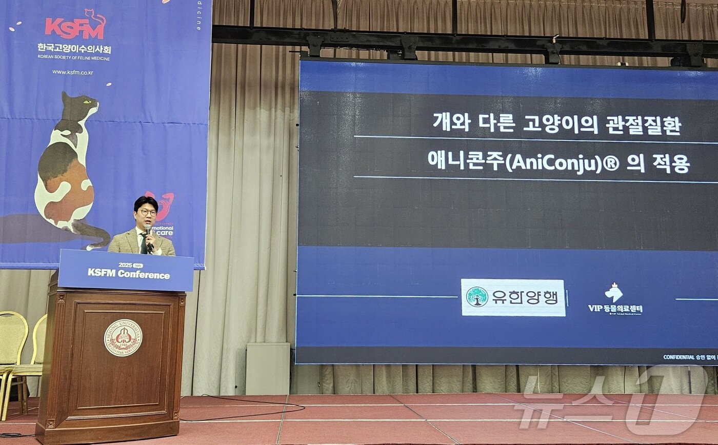 본문 이미지 - 김종인 VIP동물의료센터 청담점 원장은 2일 세종대에서 '개와 다른 고양이의 관절 질환, 애니콘주의 적용'을 주제로 강의를 진행했다. ⓒ 뉴스1 최서윤 기자