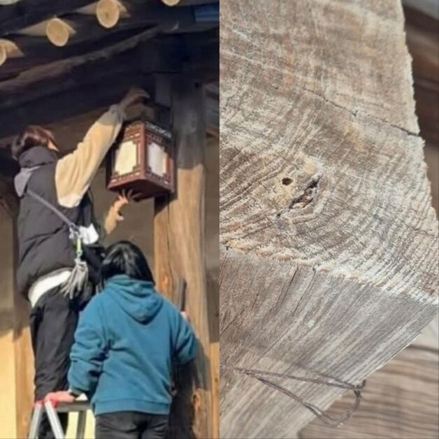 "문화유산에 못질 못한다"…국가유산청, 촬영허가 표준지침 마련