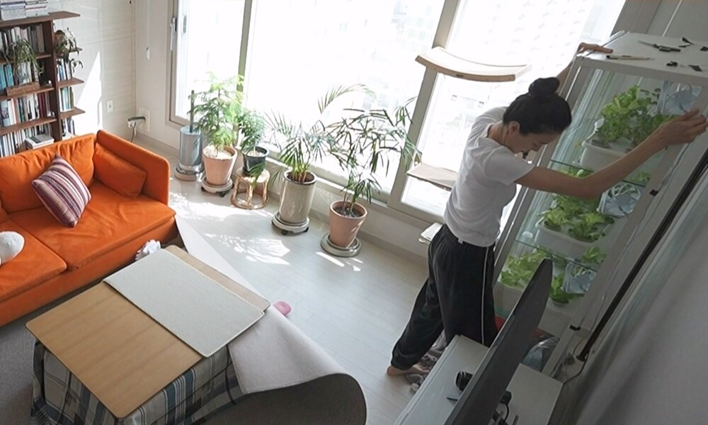 본문 이미지 - MBC