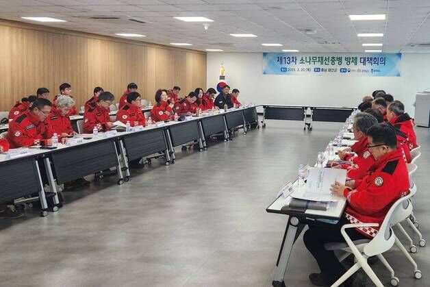 산림청, 재선충병 집단 피해 충청지역 수종 전환 적극 추진