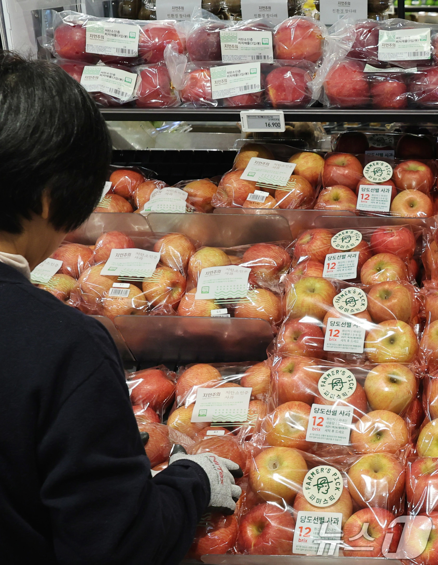 (서울=뉴스1) 박지혜 기자 = 21일 서울의 한 대형마트에 사과가 진열돼 있다.우리나라 생산자들이 부담하는 물가가 4개월 연속 전월 대비 상승했다.공산품과 서비스 물가는 제자리였 …
