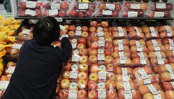 2025년산 배·감귤·딸기 생산은 '양호'…사과는 소폭 줄어