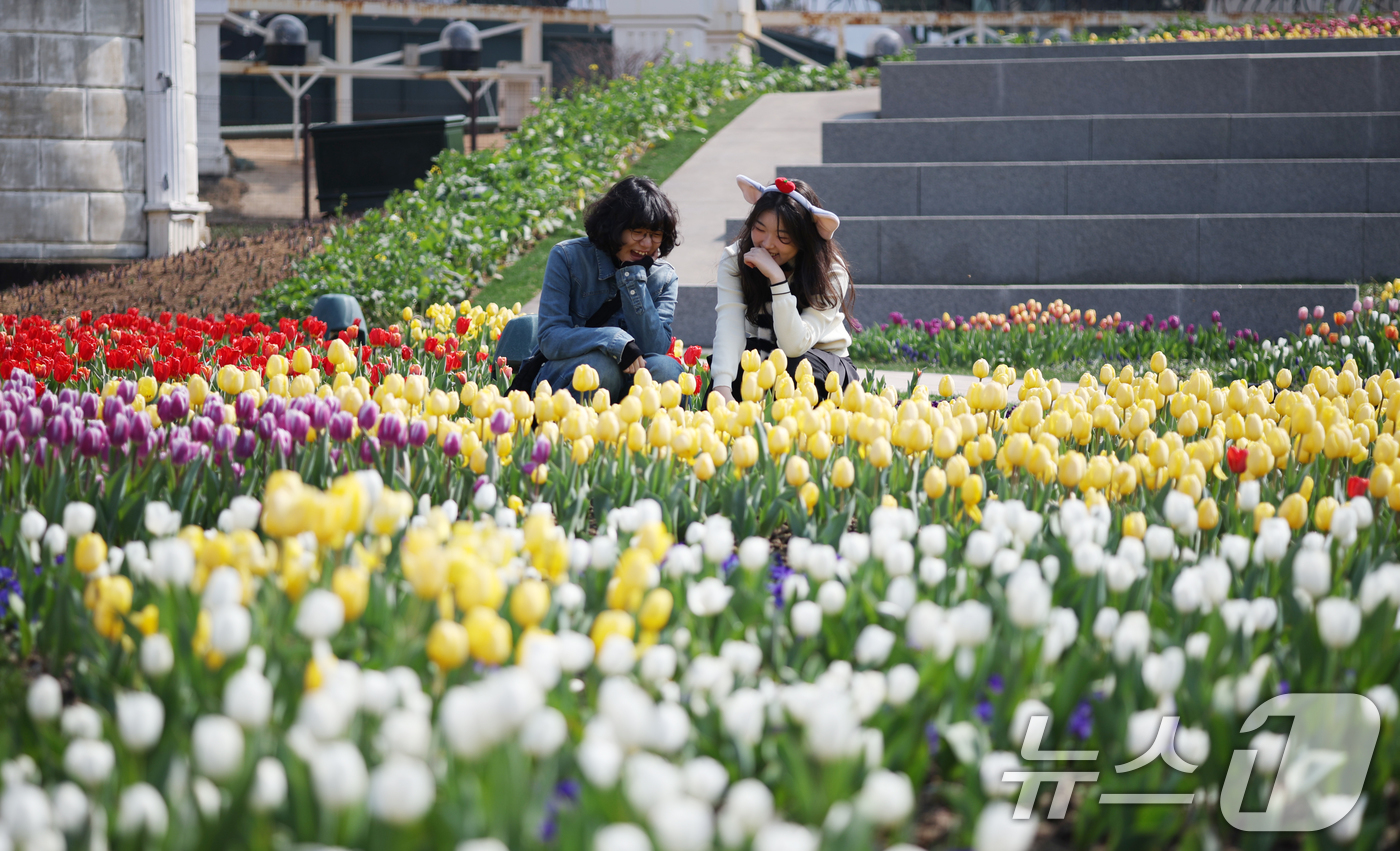 (용인=뉴스1) 김영운 기자 = 에버랜드 튤립축제가 개막한 21일 경기 용인시 처인구 에버랜드 포시즌스가든을 찾은 시민들이 튤립 사이에서 추억을 남기고 있다. 2025.3.21/뉴 …