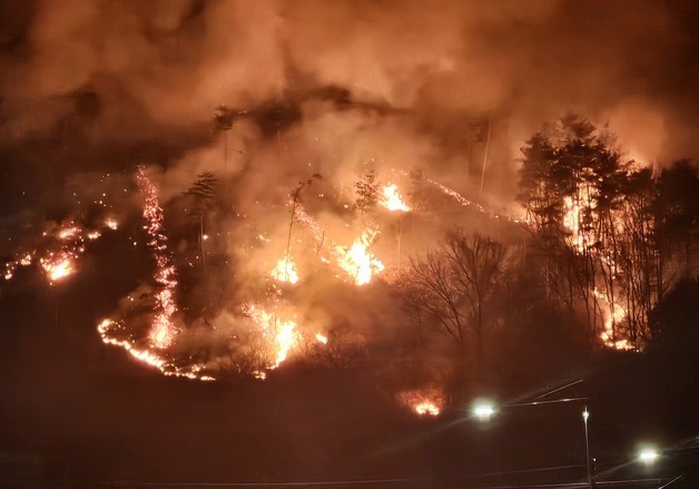 작년 경남 산청 대형 산불 낸 70대 불구속 기소