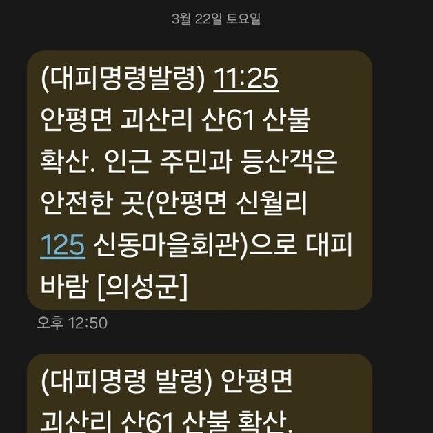 경북 의성서 산불…'대피 명령' 재난문자