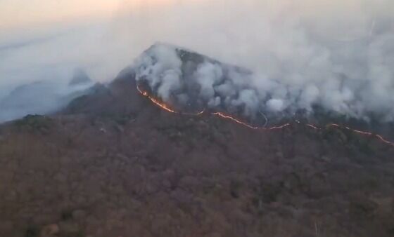 온양 산불 '역대 최대·최장'…축구장 900개 불태우고 '단비'로 종지부