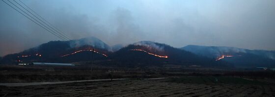 광주·전남 5개 지역 '건조주의보'에 강풍…"불씨 관리 신경써야"
