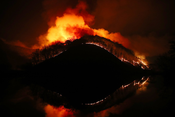 "TV서 경북 산불 보고…" 호기심에 산에 불 지른 50대 2심도 실형