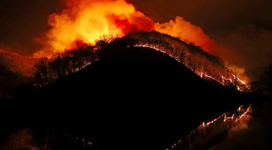 '저수지 삼킬 듯' 거대한 화마