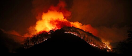 확산하는 의성 산불