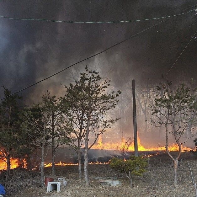 '전국 산불에 화들짝'…용인시, 불법 소각 단속 강화