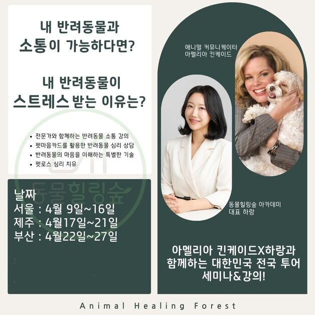 동물 교감 전문가 '아멜리아 킨케이드' 4월 내한…전국 투어 세미나