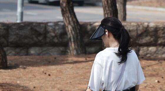 '완연한 봄날씨' 산책하기 좋아요