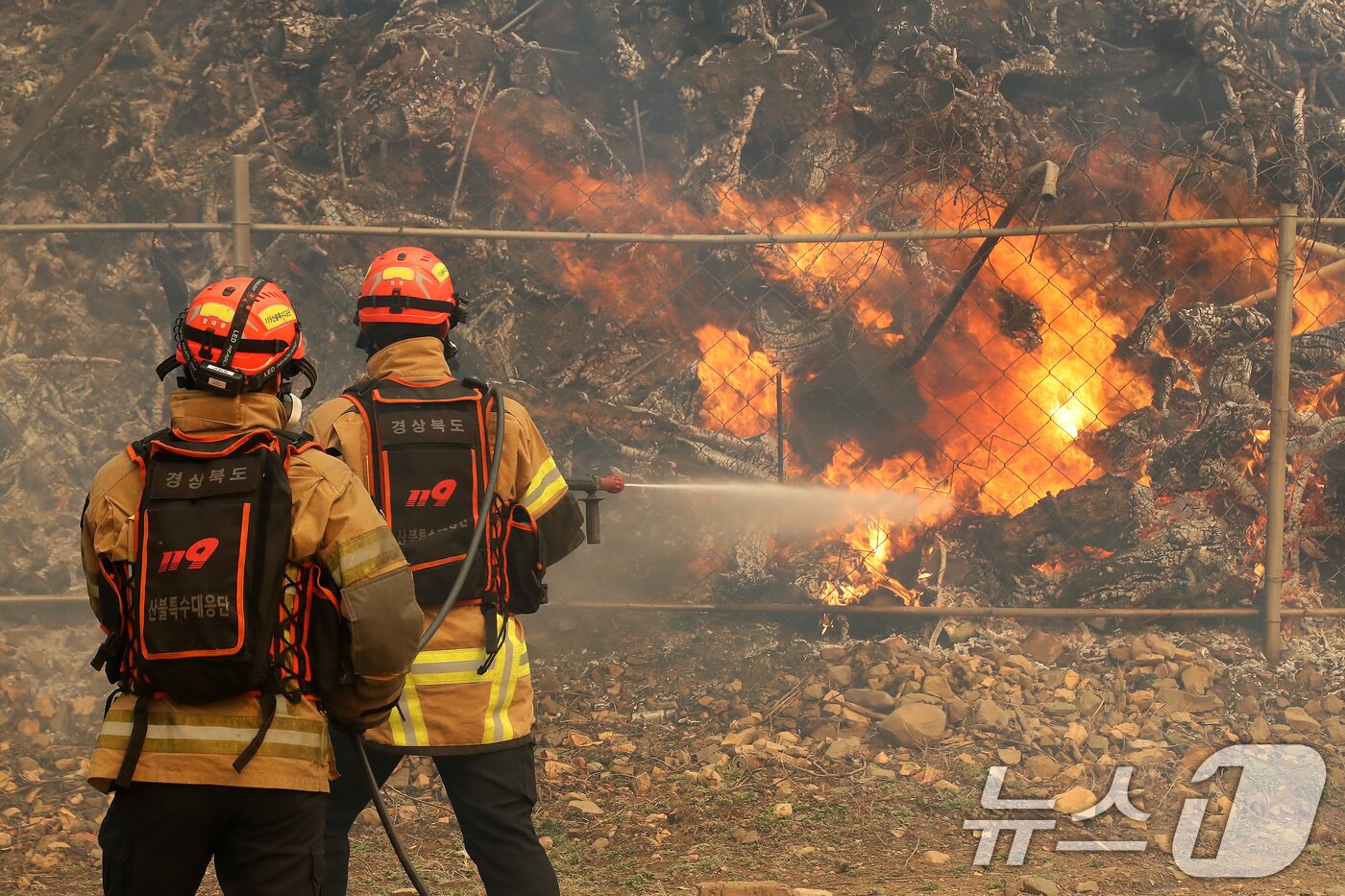 본문 이미지 - 24일 경북 의성군 점곡면 윤암리 한 야산 아래 민가에서 강풍을 타고 산불이 번지자 현장에 출동한 경상북도 119산불특수대응단이 진화하고 있다. 2025.3.24 ⓒ 뉴스1 공정식 기자