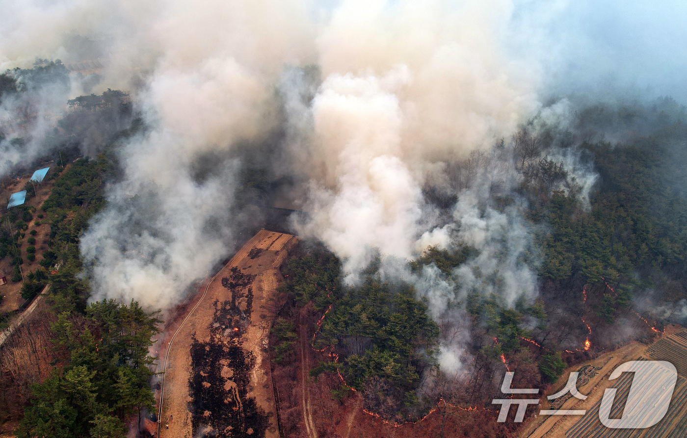 (의성=뉴스1) 공정식 기자 = 24일 오후 경북 의성군 점곡면 윤암삼거리 인근 한 야산에서 강풍을 타고 산불이 번지고 있다. 윤암삼거리는 안동시 길안면과 청송군 방면으로 갈라지는 …