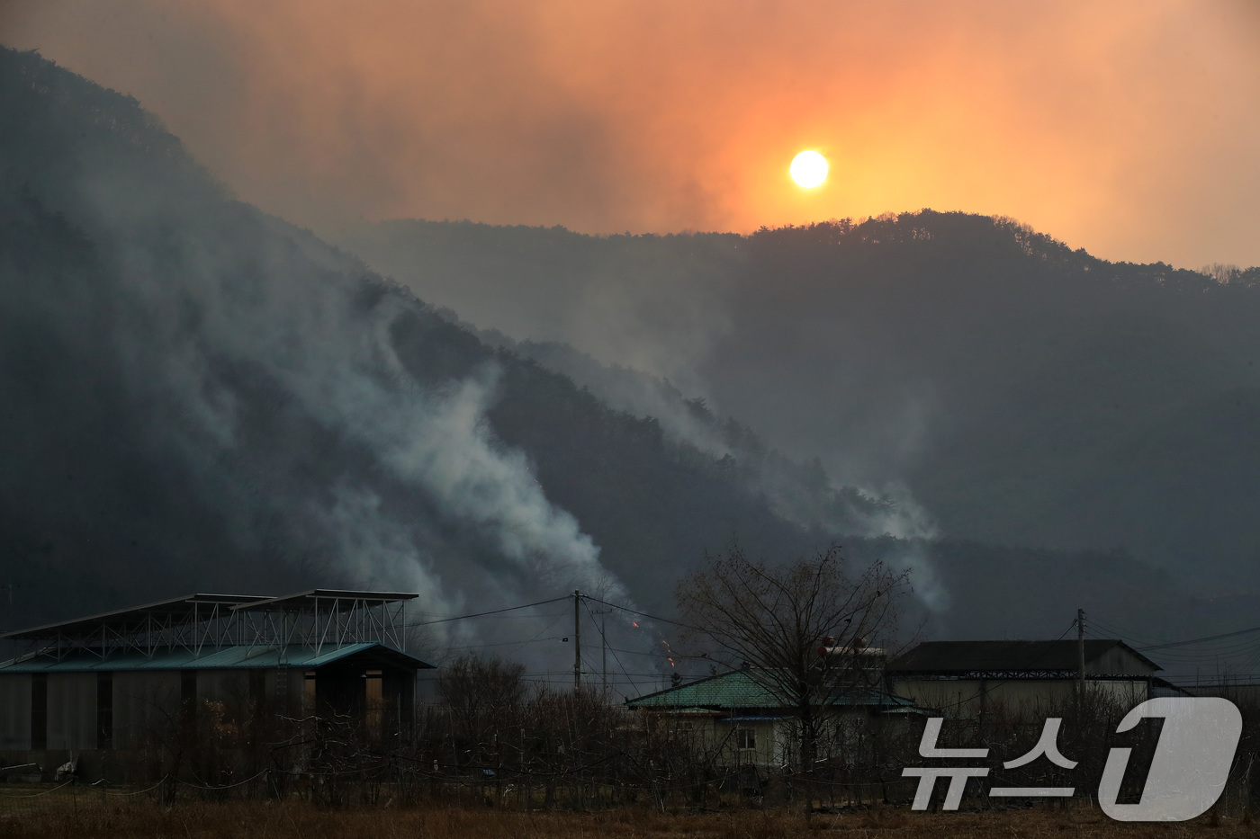 (의성=뉴스1) 공정식 기자 = 의성 산불 사흘째인 24일 오후 경북 의성군 점곡면 사촌리 민가 뒤편 야산에 강풍으로 산불이 번진 채 해가 저물고 있다. 2025.3.24/뉴스1