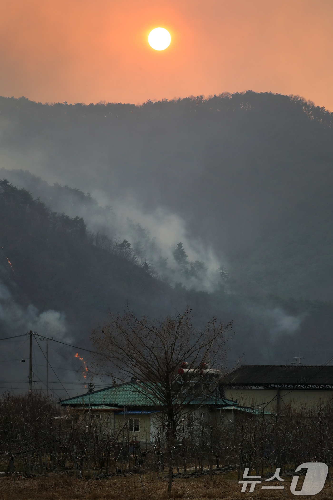 (의성=뉴스1) 공정식 기자 = 의성 산불 사흘째인 24일 오후 경북 의성군 점곡면 사촌리 민가 뒤편 야산에 강풍으로 산불이 번진 채 해가 저물고 있다. 2025.3.24/뉴스1