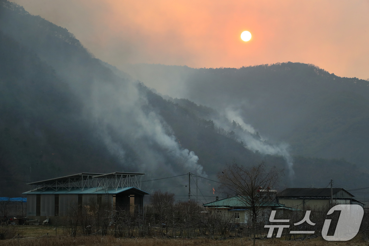 (의성=뉴스1) 공정식 기자 = 의성 산불 사흘째인 24일 오후 경북 의성군 점곡면 사촌리 민가 뒤편 야산에 강풍으로 산불이 번진 채 해가 저물고 있다. 2025.3.24/뉴스1