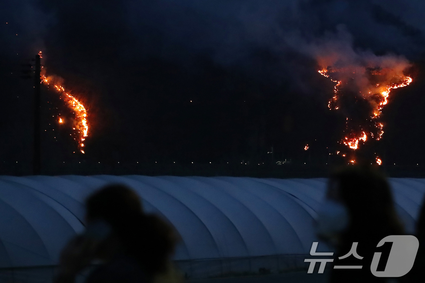 (의성=뉴스1) 공정식 기자 = 의성 산불 사흘째인 24일 오후 어둠이 짙게 내린 경북 의성군 점곡면 사촌리 민가 뒤편 야산에 산불이 확산하고 있다. 2025.3.24/뉴스1
