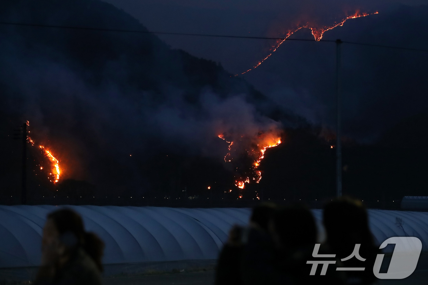 (의성=뉴스1) 공정식 기자 = 의성 산불 사흘째인 24일 오후 어둠이 짙게 내린 경북 의성군 점곡면 사촌리 민가 뒤편 야산에 산불이 확산하고 있다. 2025.3.24/뉴스1