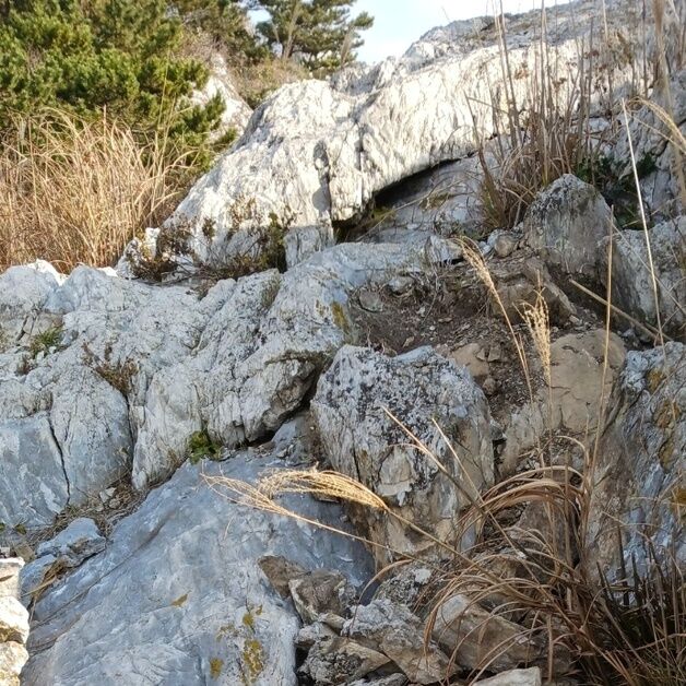 '천연기념물' 인천 소청도 분바위 균열은 "자연적 요인"