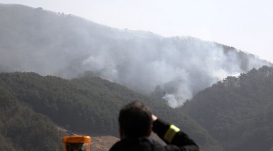산불 주시하는 지리산국립공원공단 관계자